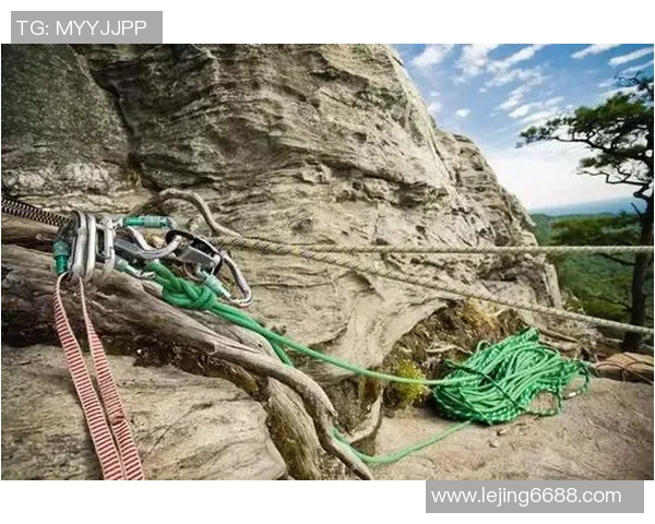 实时新闻深入分析上海攀岩队盯防策略与战术运用的专业解读